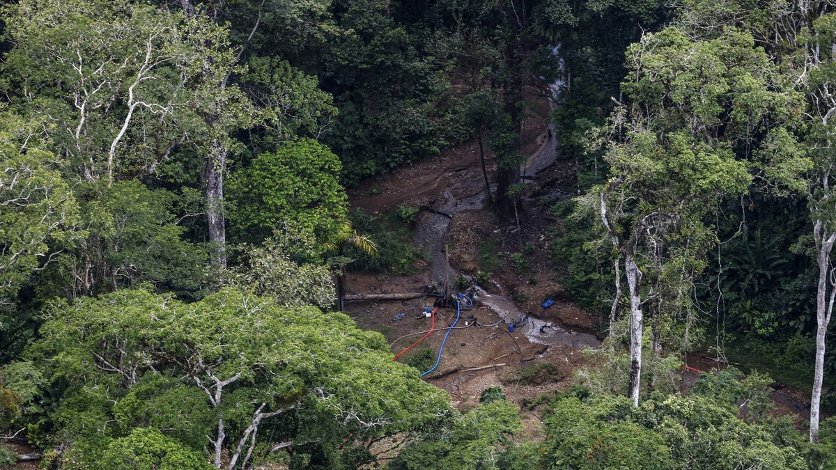Oro en el Darién: el complejo sistema ilícito del Clan del Golfo que Panamá quiere romper