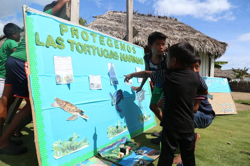 La comunidad de Armila en Guna Yala, Panamá, muestra cómo esta festividad educativa, cultural y ecológica se ha constituido en un esfuerzo de conservación. La comunidad de Armila en Guna Yala, Panamá, muestra cómo esta festividad educativa, cultural y ecológica se ha constituido en un esfuerzo de conservación.
