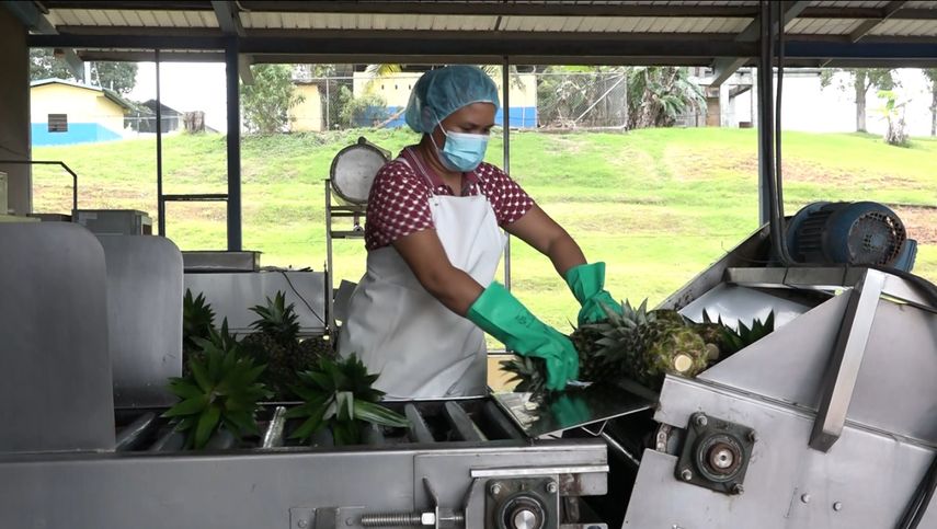 Panamá cerró 2021 con récord en sus exportaciones