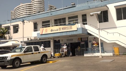 Mercado de Mariscos será reubicado según nuevo proyecto