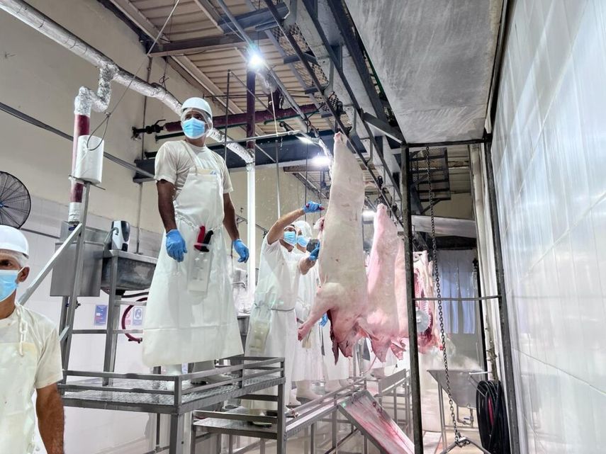 Actualmente, Panamá ya exporta carne bovina, de pollo, café, harina y aceite de pescado y productos del mar al mercado de China. Actualmente, Panamá ya exporta carne bovina, de pollo, café, harina y aceite de pescado y productos del mar al mercado de China.