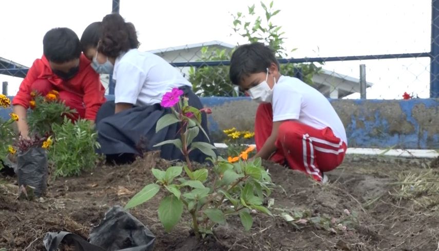 Estudiantes de diversos grados en centros educativos de Tierras Altas se dispusieron a arreglar sus áreas verdes para crear jardines.