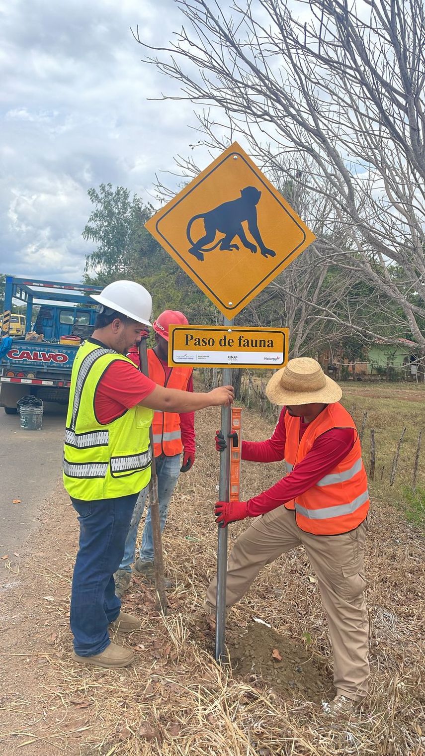 MiAmbiente prevé instaurar un programa de enriquecimiento de bosques de galería. MiAmbiente prevé instaurar un programa de enriquecimiento de bosques de galería.