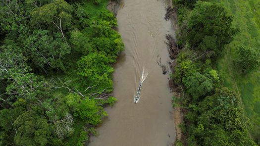 Panamá apuesta por las finanzas de la naturaleza con ONE Amazon