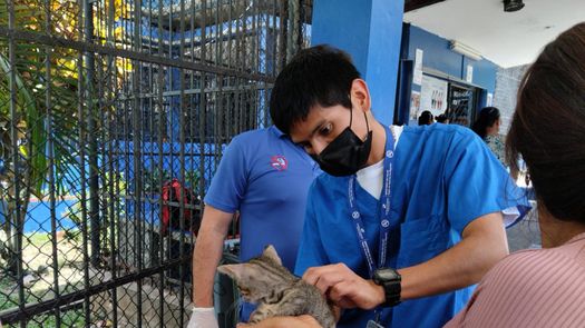 Más de 200 mascotas fueron vacunadas gratuitamente durante Vacunación de Las Américas