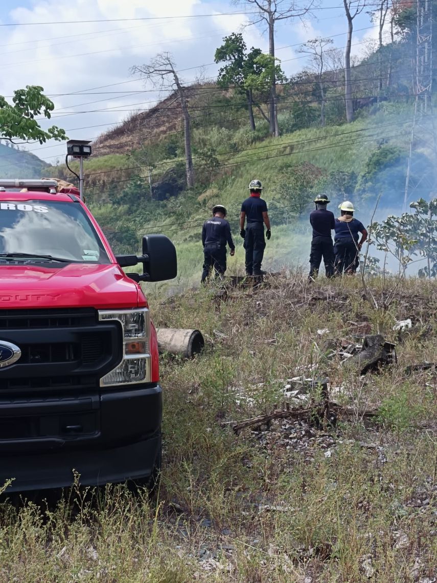 Bomberos controlan incendio de masa vegetal en Altos de Altamira, cerca al Rod Carew