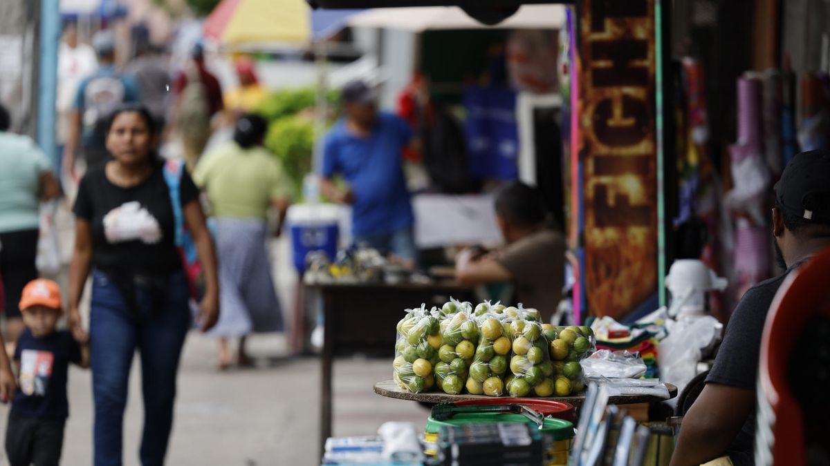 El número de empresas, el empleo y los ingresos registraron un crecimiento en Panamá, de acuerdo con los resultados de los VII Censos Nacionales Económicos, presentados por el Instituto Nacional de Estadística y Censo (INEC) de la Contraloría General de la República.