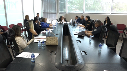 Sectores mantienen propuesta bajo análisis en la Asamblea. Sectores mantienen propuesta bajo análisis en la Asamblea.