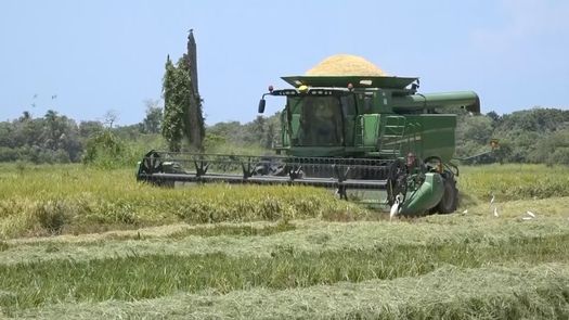 Los productores de Chiriquí participaron de una jornada de capacitación del Instituto de Meteorología e Hidrología que en base a pronósticos pudiera establecer un plan de siembra diferente en el caso del arroz. &nbsp;