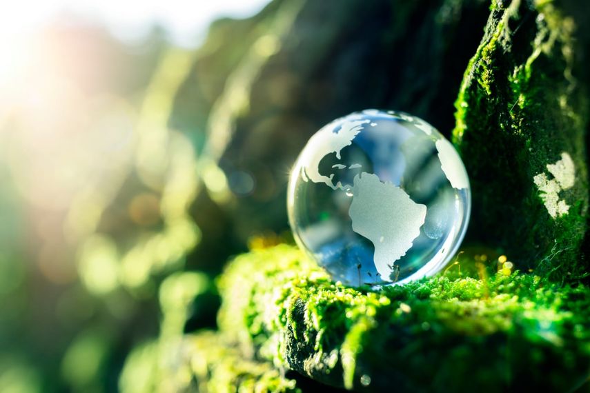 Día Mundial del Medio Ambiente: por qué se conmemora hoy, 5 de junio