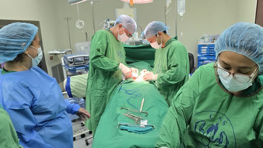 CSS realiza 110 operaciones en jornadas extraordinarias a pacientes en Chitré