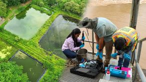 MiAmbiente sanciona a 19 empresas por afectaciones en Playa Venao y río La Villa