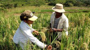 Sector agro necesita $2.500 millones según el Gobierno