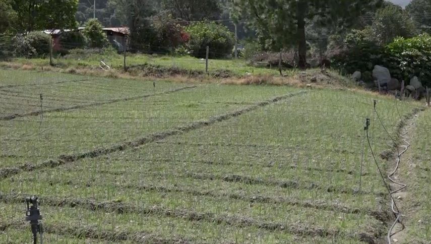 La actividad promovida por el MIDA tuvo un encuentro en Volcán donde productores
