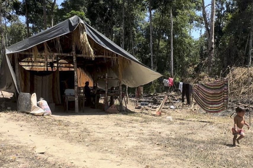 Venezuela: ONG pide a la Fuerza Armada desmantelar mina. Venezuela: ONG pide a la Fuerza Armada desmantelar mina.