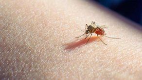 Minsa reporta más de mil 500 casos de malaria en lo que va del 2021