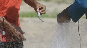 Panamá lanza nueva herramienta para el desarrollo sostenible costero