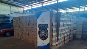 Toda la mercancía, los vehículos y los implicados fueron remitidos a la sede de Aduanas en la ciudad de David, Chiriquí, donde se inició el proceso de investigación.