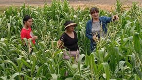 Senacyt aprueba uso de aguas residuales domésticas para la agricultura