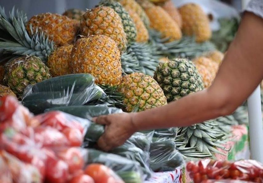 El departamento de nutrición de la Caja de Seguro Social advierte a la población sobre la importancia de una ordenada alimentación. El departamento de nutrición de la Caja de Seguro Social advierte a la población sobre la importancia de una ordenada alimentación.