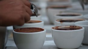 Los inscritos son jóvenes apasionados por la preparación del café, proceden de la ciudad de Panamá y de las regiones cafetaleras de Chiriquí, principalmente Boquete.