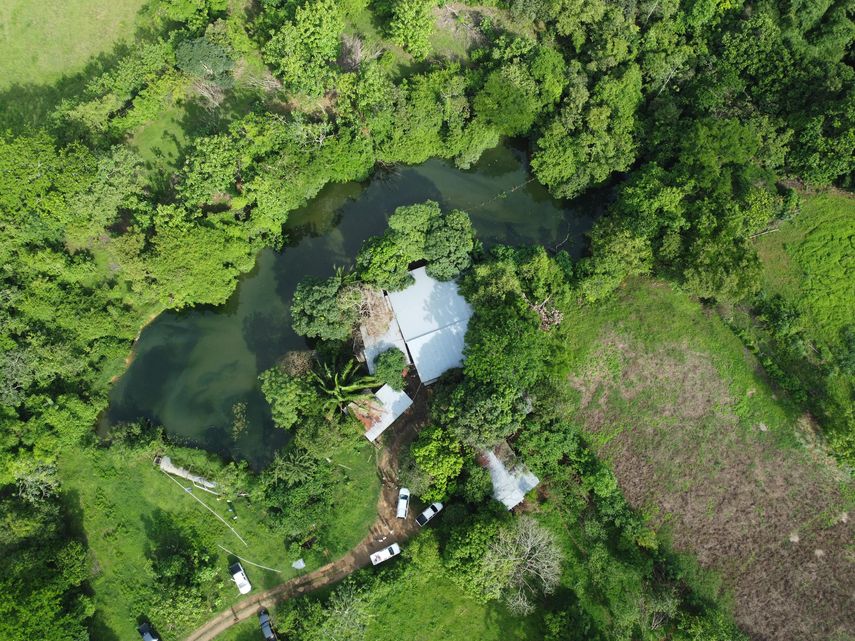 Contaminación del agua obliga a suspender clases en tres distritos de Azuero Contaminación del agua obliga a suspender clases en tres distritos de Azuero