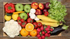 Debatirán en Panamá sobre cambios en alimentación y agricultura por el clima