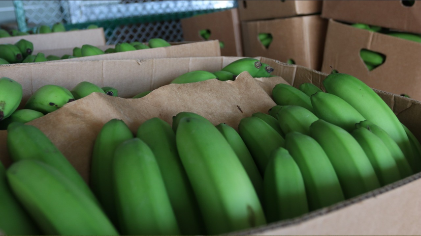 Mici: Exportaciones no minerales crecen 11.5% hasta agosto