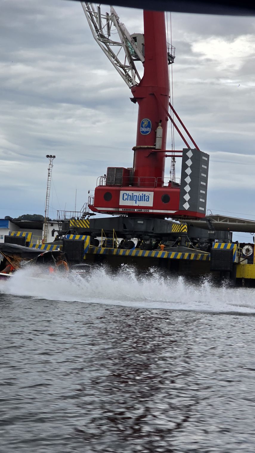 chiquita banana headpiece