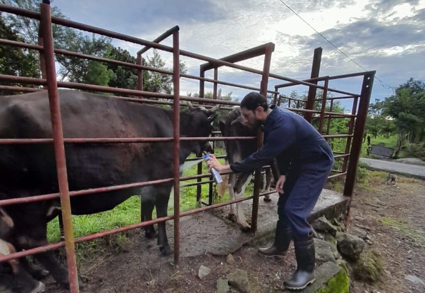 Esta reunión forma parte de las iniciativas que se vienen desarrollando tras decretarse un estado de Emergencia zoosanitaria en el todo el país, por parte del MIDA, ante brotes de gusano barrenador del ganado que aparecieron el año pasado. Esta reunión forma parte de las iniciativas que se vienen desarrollando tras decretarse un estado de Emergencia zoosanitaria en el todo el país, por parte del MIDA, ante brotes de gusano barrenador del ganado que aparecieron el año pasado.