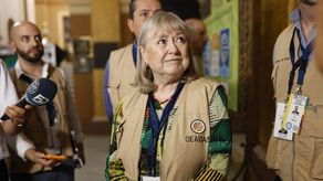 OEA emitió balance positivo del proceso electoral en Panamá