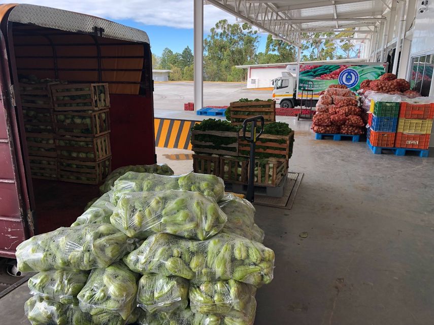 La actividad comercial en la principal unidad alimentaria del país, Merca Panamá, transcurre de manera regular con las naves de productos alimenticios, informó Ranth Berard, gerente general de Mercados Nacionales de la Cadena de Frío, S.A.