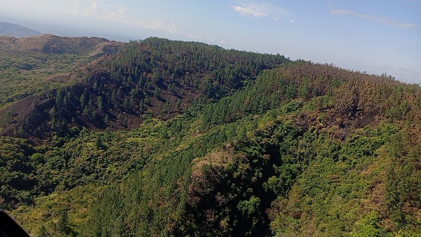 Incendio de masa vegetal en La Yeguada fue extinguido en su totalidad