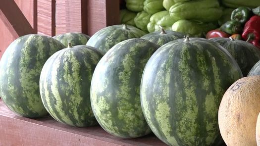 Presentan estudio sobre la agroindustria alimentaria