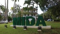 mida desmiente autorizacion para importar 35 mil toneladas de arroz en plena epoca de cosecha