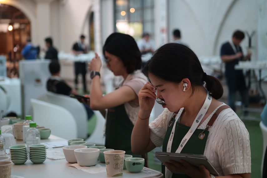 Chiriquí: Mejores cafés de Panamá van a subasta electrónica