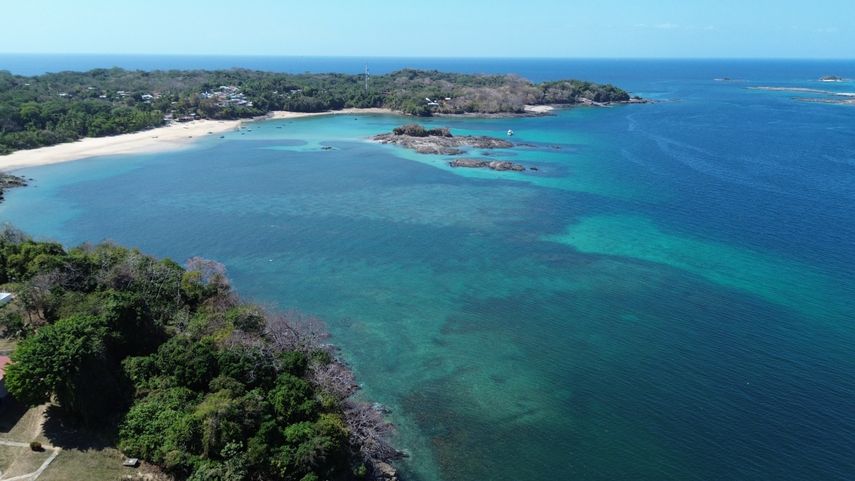 Marino Abrego, subdirector Nacional de Costas y Mares de MiAMBIENTE, subrayó la importancia del refugio como una medida de conservación que beneficiará tanto a la biodiversidad como a la comunidad. Marino Abrego, subdirector Nacional de Costas y Mares de MiAMBIENTE, subrayó la importancia del refugio como una medida de conservación que beneficiará tanto a la biodiversidad como a la comunidad.
