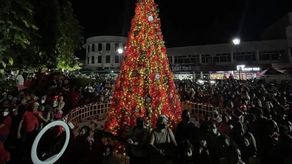 El alcalde de David hizo un llamado a la población que&nbsp; estará presente durante la ruta del desfile para que hagan uso adecuado de mascarilla y gel alcoholado.