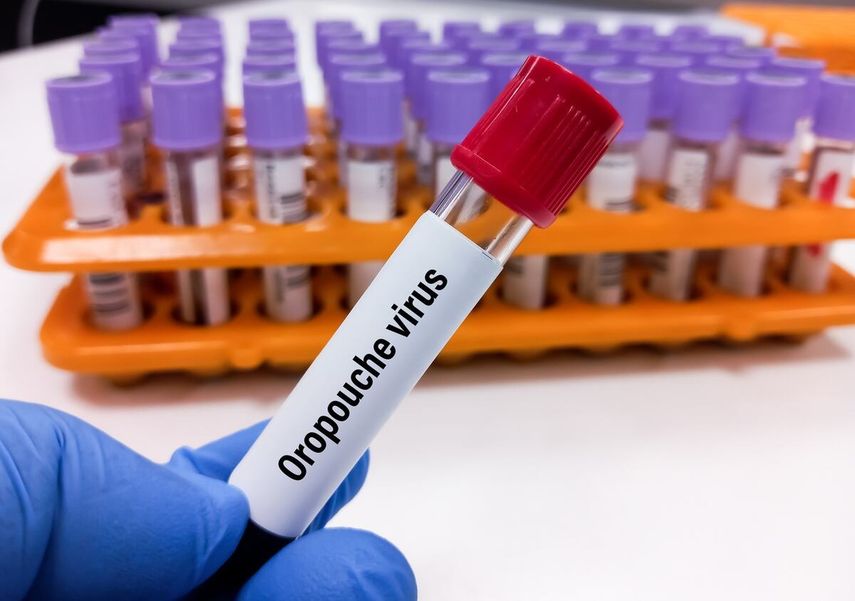 Virus Oropouche en Panamá: Confirman 286 casos en Darién y Panamá Este