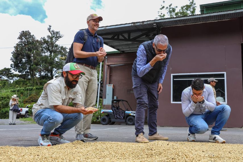 La Autoridad para la Atracción de Inversiones y la Promoción de Exportaciones (PROPANAMA), con el fin de promover la alta calidad del Café de Especialidad, y su marca PANAMÁ GEISHA, realizó una gira técnica con representantes del Cuerpo diplomático de los principales mercados de exportación de café. La Autoridad para la Atracción de Inversiones y la Promoción de Exportaciones (PROPANAMA), con el fin de promover la alta calidad del Café de Especialidad, y su marca PANAMÁ GEISHA, realizó una gira técnica con representantes del Cuerpo diplomático de los principales mercados de exportación de café.