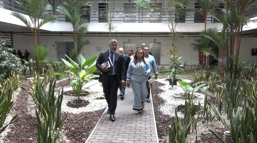 Tribunal Electoral determinará futuro de candidatura a diputada de Dana Castañeda