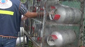 La noticia de que el tanque de gas de 25 libras podría dejarse de despachar por la empresa de origen generó alarma entre la población de Chiriquí, por lo cual la Acodeco decidió hacer los operativos.