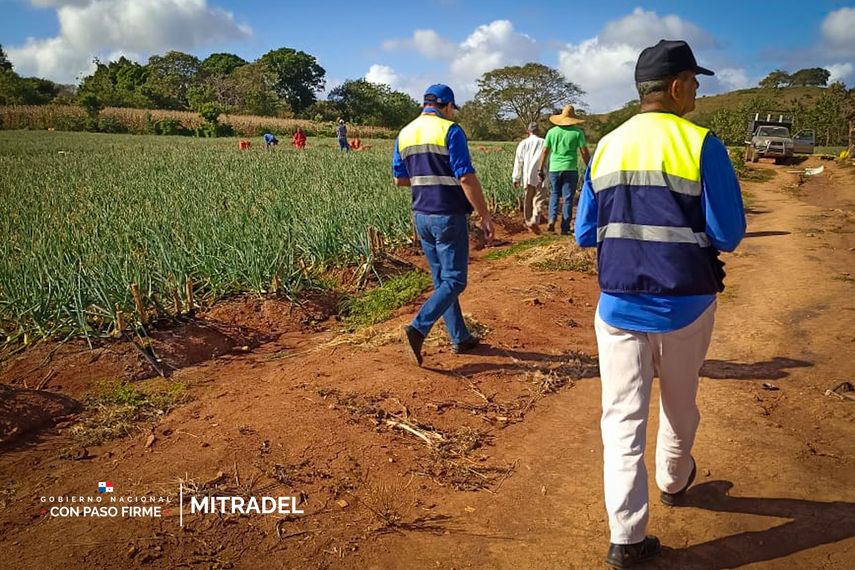 Panamá fue uno de los cinco países del continente americano seleccionados por la Organización de Estados Americanos (OEA) para participar en un programa de cooperación bilateral enfocado en la prevención y erradicación del trabajo infantil, junto a la República de Paraguay. Panamá fue uno de los cinco países del continente americano seleccionados por la Organización de Estados Americanos (OEA) para participar en un programa de cooperación bilateral enfocado en la prevención y erradicación del trabajo infantil, junto a la República de Paraguay.