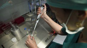 Mujeres sin apéndice y amígdalas poseen una tasa de fertilidad más alta