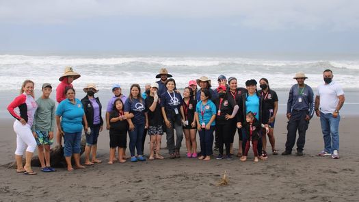 La liberación de tortugas se desarrolló en el Refugio de Vida Silvestre Playa la Barqueta Agrícola (RVSPLBA) de Chiriquí. &nbsp;
