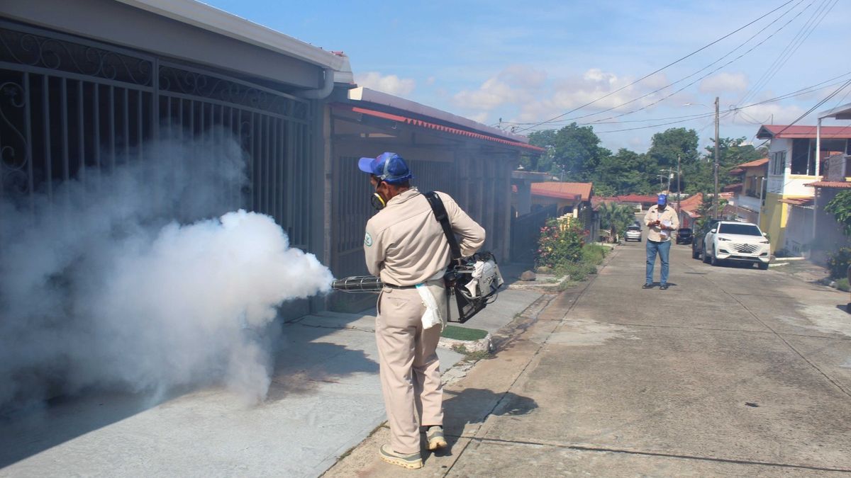 El Minsa continúa intensificando los operativos de control de vectores para evitar casos de dengue. El Minsa continúa intensificando los operativos de control de vectores para evitar casos de dengue.