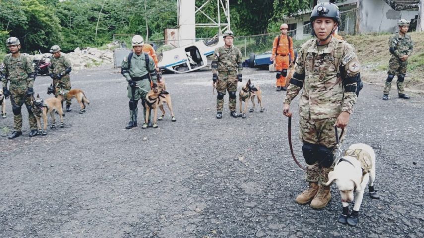 Certifican más de 15 binomios (Hombres-perros) que se integrarán a la unidad canina del Sinaproc. Certifican más de 15 binomios (Hombres-perros) que se integrarán a la unidad canina del Sinaproc.