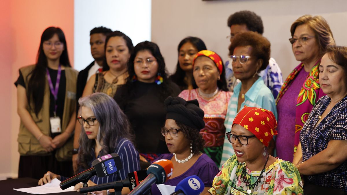 OEA preocupada por cierre del Ministerio de la Mujer en Panamá