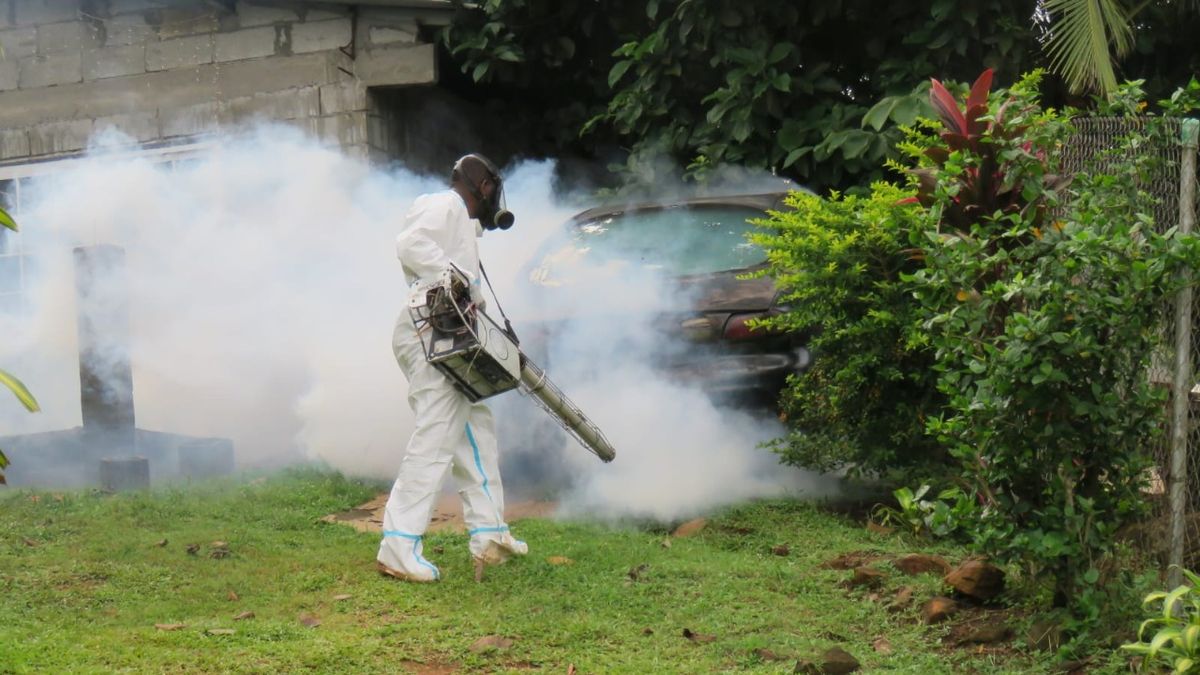 Reportan 789 casos de dengue, 1,915 de malaria y 8 de hantavirus en lo que va del año