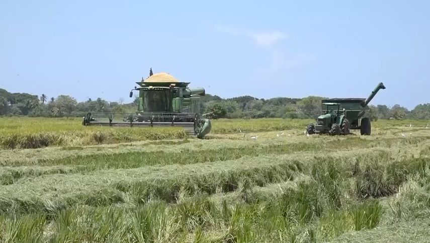 La jornada de actualización y capacitación se desarrolló en el marco del Día mundial de la Alimentación en la Facultad de Ciencias Agropecuarias de la Universidad de Panamá en Chiriquí.